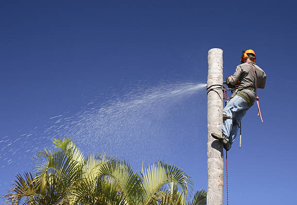 Lawn Irrigation Installation and Maintenance in Sudley, VA